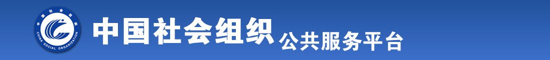 黄色视频大鸡巴搞全国社会组织信息查询